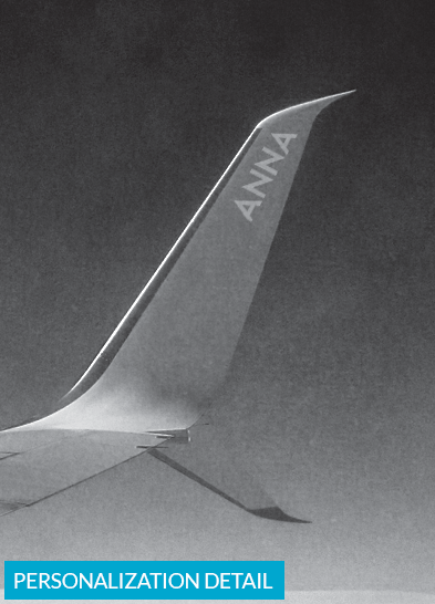 Detail shot of the personalization on the wing of the plane