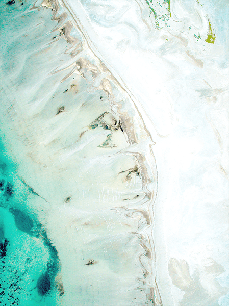 close up of the Ebb print