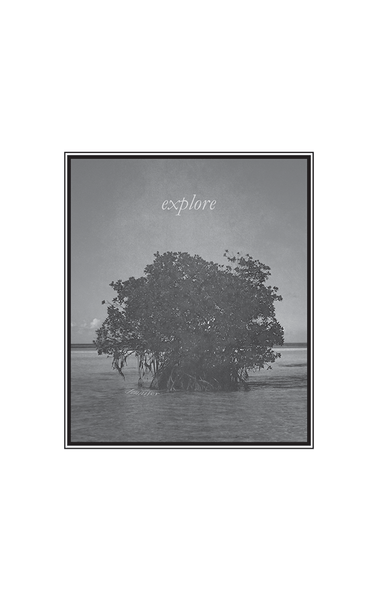 Closer look at our Explore print. Coastal view of a tree growing out of the water.